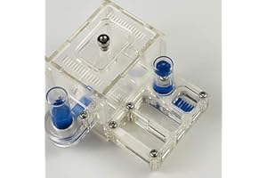 ZHL Nid Fourmis Insectes Naturels Fourmilière AntHouse Château Ferme D'élevage Boîte Formicarium avec Château d'eau Hydratant (Color : Transparent)