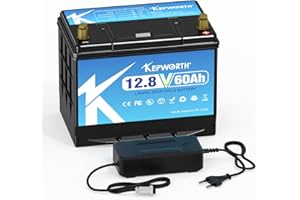TCBWORTH Lifepo4 Batterie 12v 60AH Lithium avec des cellules de qualité A et 60A BMS pour moteur de pêche à la traîne, camping, système solaire, applications domestiques, série et parallèle.