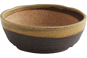 Wazakura Japan - Maceta para Bonsai Colección Shigaraki 100% Hecha en Japón, Tiesto Oval de cerámica con Borde esmaltada en Color Arena, 17 cm de diámetro, Agujero de Drenaje