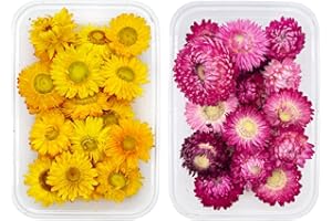 Kellegour 2 Cajas Flores Secas Naturales,Flores Prensadas Secas,Conjunto de Flores Secas,Flores Secas Manualidades,Flores Secas para Resina Naturales,para Hacer Velas,Tarjetas de Felicitación