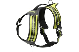 TRUE LOVE Réfléchissant Harnais De Chien Réglable Décourager Tirer Pet Gilet Durable en Nylon De Voiture TLH5551 (Jaune Fluo, L)