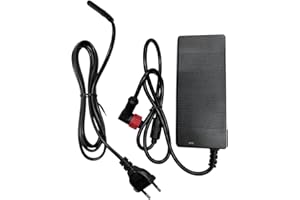 ausom Chargeur L1, L2, L2 Dual Motor, L2 Max, L2 Max Dual Motor, GX1