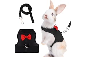 LOMSUXA Guinzaglio Per Coniglio Nano, imbracatura con guinzaglio, Accessori Conigli, Stoviglie Con Guinzaglio, Pettorina Regolabile, pettorina coniglio nano(Nero, M)