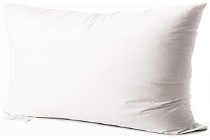 EDOW Luxury Throw Pillow Insert, Soft Fluffy Down Alternative Polyester Square Form Decorative Pillow Insert,Sham Stuffer,Cotton Cover for Sofa, Couch,Bed and Car. (White, 12x20)