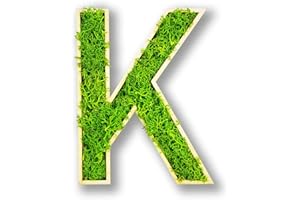 Acryltypo Moosly® Holzbuchstabe – K - mit Rahmen aus Holz, Moos Deko Buchstaben Zeichen Symbol Zahl - Holzbuchstabe mit echtem Islandmoos - Wandbilder Wohnzimmer Deko Wand Bilder Wohnzimmer Bilder