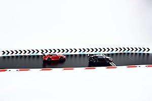 Overdrive-Racing Leitplanken mit Pfeilen für Carrera Hybrid - 1,75m / 6,30m / 12,20m - Begrenzung Kurven Gerade Bande Zaun Fangzaun, Farbe:Weiß-Schwarz, Länge:6.30 Meter