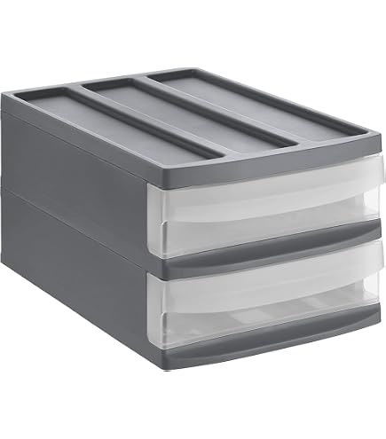 Zerodeko Schubladenbox Mini-Kommode – 2 Schubladen, 24 X 20 X 17 Cm, Kunststoff, Für Make-up & Büro