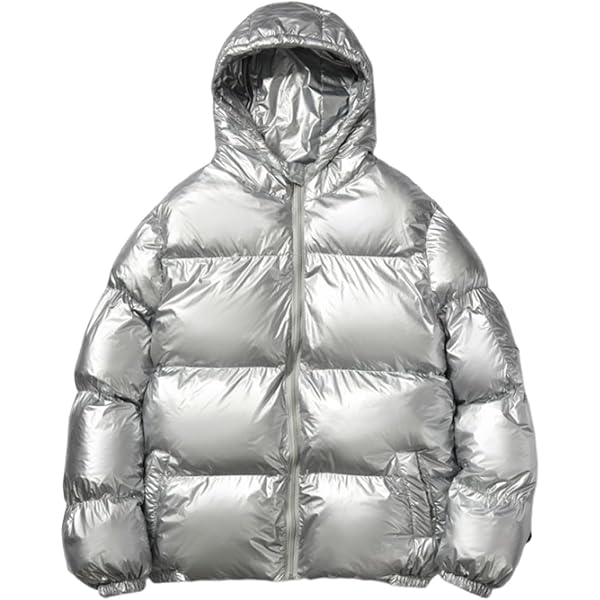 Doudoune Homme Hiver à Effet Métallisé Brillant - Manteau Matelassé à Capuche Avec Fermeture Éclair Complète - Grande Taille Disponible