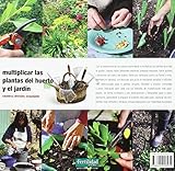 Image de Multiplicar las plantas del huerto y el jardín: Siembra, división, esquejado