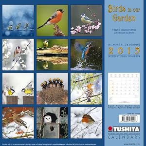The Birds in Our Garden (Wonderful World)