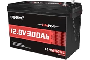 Dumfume Bateria LiFePO4 12V 300Ah, BMS 200A 3840Wh - Bateria Solar de Alta Capacidad para Almacenamiento Fotovoltaico, Energía de Respaldo para el Hogar, Camper, Casa Pequeña y Uso Comercial