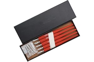 SIPLIV plastica professionale manga gothic pen dip dip set con 5 pennini manga calligraphy drawing pen kit - 5 pezzi, rosso