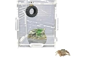 YUYUSO 2 Pack Pet Jumping Spider Tire Swing with Magnets for Spoods Jumping Spider Hide Jumping Spider Enclosure Accessories