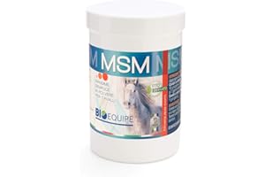 BIOEQUIPE MSM PURO 100% Mangime Semplice indicato per il benessere articolare del cavallo