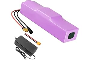 SEILYLANKA con Caricatore 7Ah 13S2P 48V Batteria e-Bike ebike Bicicletta Elettrica Li-ion Personalizzabile 245x70x50mm