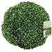 Produktbild Gardman Eden Bloom Künstliche Buchskugel, Durchmesser, 30 cm