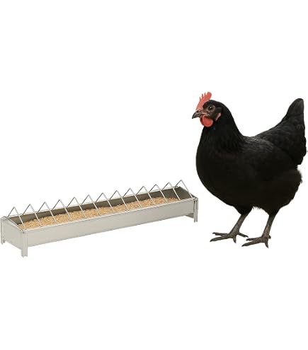 Kerbl Mangeoire Volaille Galvanisée 10x75 Cm – Mangeoire Poules & Poulailler, Solide & Durable Pour Élevage Maison Ou Urbain
