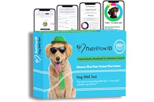 NutriPaw ID Dog DNA Test Kit – Advanced UK Breed Identification & Health Insights | Accurate & Fast Results | Test 350+ Breeds | At-Home Cheek Swab | Health Risks | Puppy to Senior 360 Life Plan
