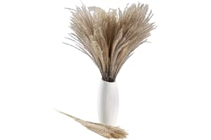 HUAESIN 50 PCS Dried Pampas Grass Reed Grass Plume Natural Artificial Pampas Grass Dried Flower Phragmites Communis for Wedding Photographing Arrangement Home Decor 45cm