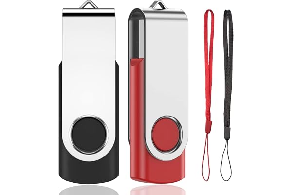 Lot 2 Cle USB 1GB Clé USB 2.0 Mémoire Stick USB Flash Drive Stockage Rotation Disque Pendrive pour Ordinateur Portable/PC/Voiture (Noir & Rouge)