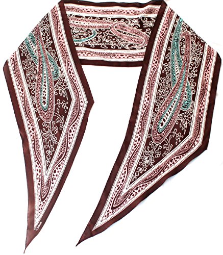 Preisvergleich Produktbild Chloe schmaler Seidenschal 160 x 24cm in brauner Seide scarve