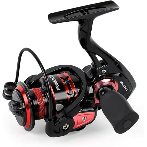 Shimano Stella 8000 SW B PG heavy duty saltwater fishing reel