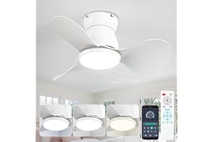 ycwdcz Klein Deckenventilator mit Beleuchtung Leise DC Deckenventilator mit Fernbedienung 6 Stufen Reversibel 3 Klingen 3 CCT, Mini Led Lampe mit Ventilator für kleine Schlafzimmer Kinderzimmer