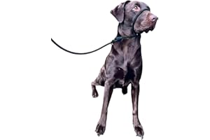 L&J PETS UK No More Pulling! Anti Pull Lead Field Figure 8 / Halter/Head Collar One Size Fits All Super Soft Braided Nylon Comfortable Make Your Walks More Enjoyable -Instructions Included. (Green-Black)