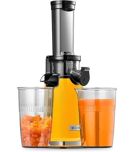 AAOBOSI Entsafter mit 110 MM Öffnung,Slow Juicer für Gemüse und Obst,Hohe Saftausbeute,Saftpresse Elektrisch mit Rückwärts Funktion,Leicht zu Reinigen ,BPA-Frei,Inklusive Bürste und 2 Tassen
