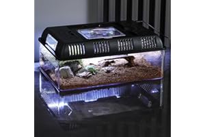 Crevyteg Reptilienbecken Terrarium, Reptile Growth PC Terrarium Komplettset, Schildkröten Gehege für Schnecken Insekten Vogelspinnen Springspinne Leopard Gecko, 31.5 x 22 x 12.5cm