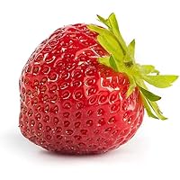 20 Mara de Bois Erdbeerpflanzen (Walderdbeere) - Frigo Pflanzen - Immertragend - Pflanzzeit: März/April - Ernte: Juli…