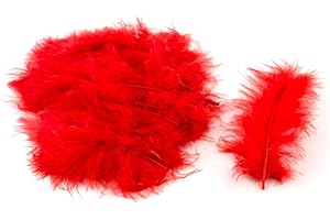 Lot de 20 plumes de duvet 8-12 cm (rouge 250) // Plumes de poules Plumes décoratives Plumes pour bijoux
