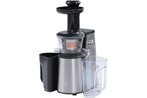 RGV Juice Art New Estrattore, 400W, 1 Decibel, Acciaio Inossidabile, Argento