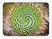 Produktbild MSGDF Plant Bath Mat, National Flower of Lesotho South of Africa Aloe Polyphylla Spinning Spiral Aloe Vera, Plush Bathroom Decor Mat with Non Slip Backing, 23.6(L) X15.7(W) inch, Multicolor