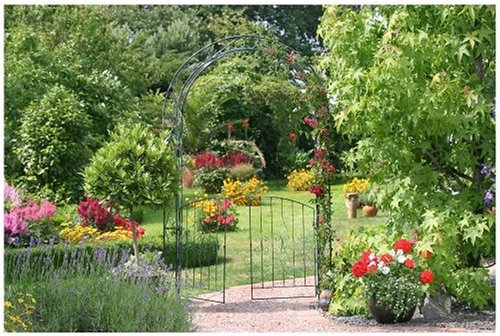 Takasho 11252 Rosenbogen Nexus inkl. Tür, schwarz-grün - 2