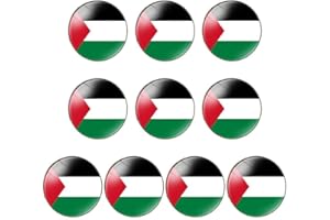 PPMTER 10 Pcs Israel Flailla Pin Roded Roded Israeli Brocha Brooch Pins Patricitica Israel Brooch Para Marca