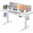 HUANUO One-Piece Desktop Standing Desk 160x80cm with Brushless Motor, Height Adjustable Standing Desk with Whole Board for Home Office