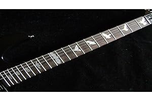 GUITARCUSTOM Adesivi per chitarra e basso, design uccelli, argento