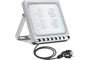 papasbox 20W LED Flutlicht Flutlichtstrahler Strahler Scheinwerfer, LED Fluter Baustrahler mit Stecker Wasserdicht IP65, Kaltweiß 6000K, Ideale Wandleuchte Außenbeleuchtung für Garten, Garage, Hotel