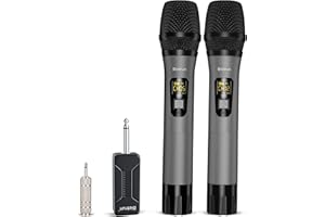 Bietrun Micro sans Fil Professionnel 50M, UHF Micro Double Portable pour Karaoke Gris