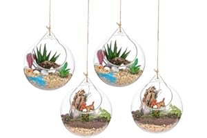 GLASSEAM Plantas Colgantes de Aire 4 Piezas Portavelas de 4 Inches Cristal Terrario Portavelas Contenedores de Plantas de Vidrio para el Diseño de Bricolaje de Jardín de Bodas en Casa