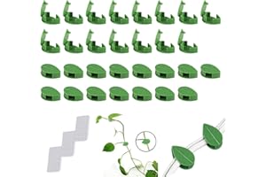 Clip Plante grimpante, Clip Mural végétal, Mur Support Vigne, Clip de Fixation Mural végétal Auto-adhésif pour la décoration de la Maison, Organisateur de Clip de câble Clip de câble de Bureau