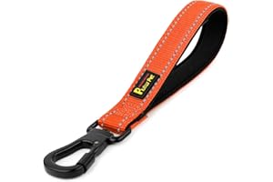PLUTUS PET Strong Training Dog Lead with Rock Climing Carabiner Clip, Relective Nylon Dog leash Padded Handle, Training Lead for Large and Medium Dogs(25cm,Orange)