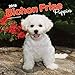 Produktbild Bichon Frisé Puppies - Gelockter Bichon Welpen 2018 - 18-Monatskalender mit freier DogDays-App: Original BrownTrout-Kalender [Mehrsprachig] [Kalender] (Wall-Kalender)