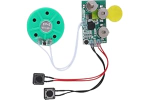 Eboxer 4 Minutes Re-recordable Voice Sound Chip, Record Voice Greeting Card Chip Recordable Voice Module, for Greeting Card DIY Audio Cards Gifts