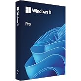 Microsoft Windows 11 Pro (USB)