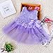 Baby Girls Sleeveless Lace Plain Floral Tutu Dress with Bowknot