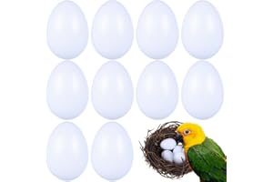 BALACOO 10 Stück Taubeneier, Simulation von soliden Kunststoffeiern zum Schlüpfen von Tauben, landwirtschaftliches Werkzeug für Geflügel Zucht Und Training Von Nymphensittichen Und Racing Tauben