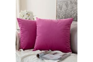 MIULEE Lot de 2 Housses de Coussins en Velours Décoratif Canapé Taie d'oreiller Super Lisse Doux Confortable Decoration Maison Salon Chambre pour Canapé 40X40CM Fushia