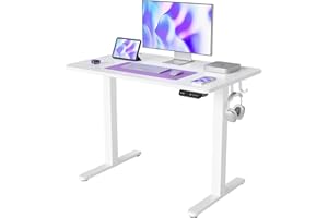 FEZIBO Height Adjustable Electric , 100 x 60 cm, Standing Desk with Memory Control and Anti-Collision Technology, White Frame/White Surface